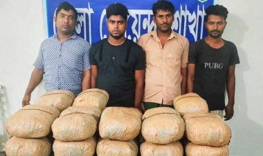 ডিবি পুলিশের অভিযানে ৩৬ কেজি গাঁজাসহ ৪ জন গ্রেফতার