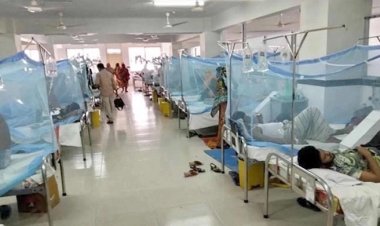 ডেঙ্গুতে আক্রান্ত লাখ ছাড়ালো, একদিনে ৯ মৃত্যু