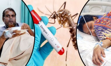 ডেঙ্গু জ্বর থেকে দ্রুত সেরে উঠতে যা করা জরুরী