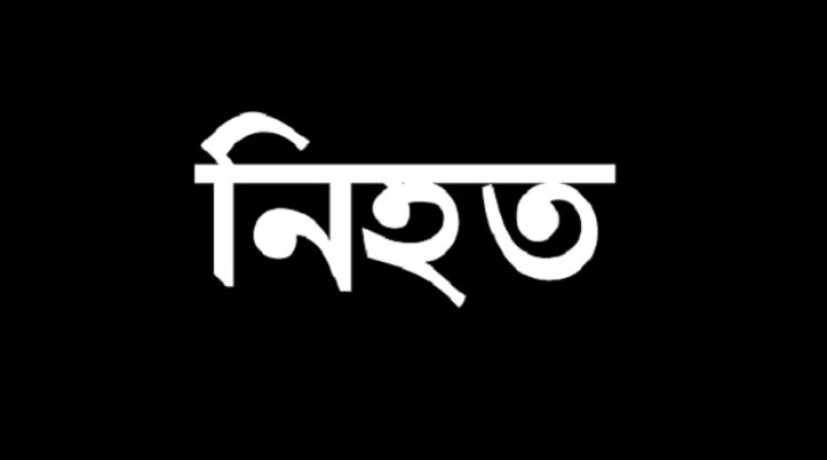 মোটরসাইকেল নিয়ন্ত্রণ হারিয়ে গাছের সাথে ধাক্কায় চালক নিহত