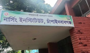 নার্সিং ইনস্টিটিউটে সরকারি গাছ কাটার অভিযোগ উঠেছে কনষ্ট্রাক্টর ইনচার্জ মসিউরের বিরুদ্ধে