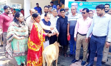 প্রধানমন্ত্রীর উপহার হিসেবে বাছুর মুরগি ও হাঁস বিতরণ 