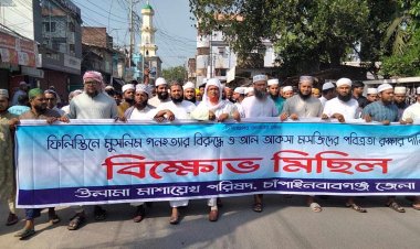 ফিলিস্তিনে মুসলিম গণ হত্যার বিরুদ্ধে চাঁপাইনবাবগঞ্জে বিক্ষোভ মিছিল
