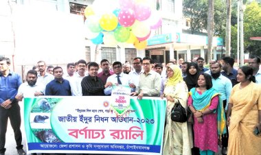 চাঁপাইনবাবগঞ্জে ইঁদুর নিধন অভিযান শুরু