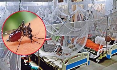 চাঁপাইনবাবগঞ্জে শিশুসহ ৬ জন আক্রান্ত