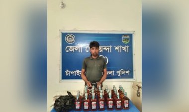 শিবগঞ্জে ডিবির অভিযানে বিদেশী মদসহ দুইজন গ্রেফতার