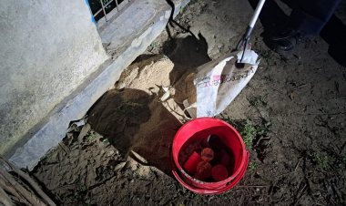 চাঁপাইনবাবগঞ্জে অবিস্ফোরিত ককটেল উদ্ধার 