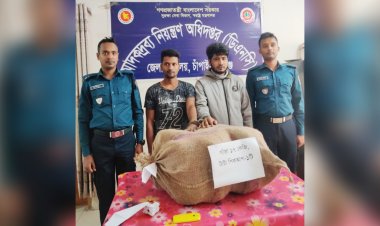 চাঁপাইনবাবগঞ্জে গাঁজাসহ দুইজন গ্রেফতার