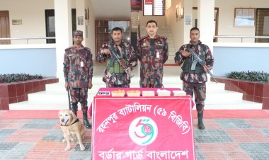 চাঁপাইনবাবগঞ্জে সীমান্ত বিস্ফোরক দ্রব্য উদ্ধার 