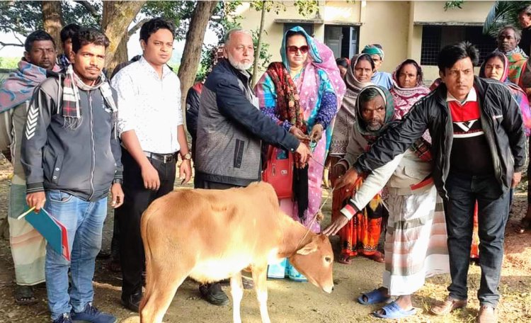 নাচোলে ক্ষুদ্র নৃগোষ্ঠীর জনাসাধরণের মধ্যে গবাদিপশু বিতরণ