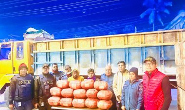 পাথর ভর্তি ট্রাকে বিপুল পরিমাণ গাঁজা উদ্ধার আটক-২