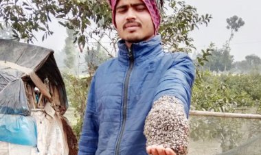নাচোলে মৌমাছির সঙ্গে সখ্যতা গড়ে তুলেছেন এক যুবক