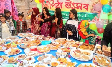রহনপুরে পিঠা উৎসব