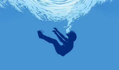 চাঁপাইনবাবগঞ্জে ছোট বোনকে বাঁচাতে গিয়ে বড় বোনের মৃত্যু