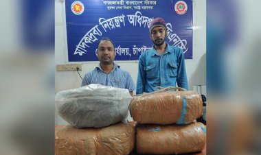চাঁপাইনবাবগঞ্জে গাঁজাসহ দুইজন আটক