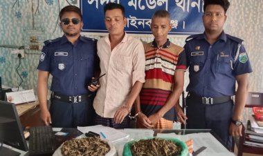 চাঁপাইনবাবগঞ্জে গাঁজাসহ দুইজন গ্রেফতার