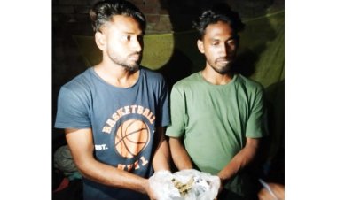 চাঁপাইনবাবগঞ্জে গাঁজা বিক্রির অপরাধে দুইজনের কারাদণ্ড