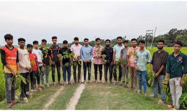 জেলা ছাত্রলীগের সাবেক সাংগঠনিক সম্পাদক টমাসের উদ্দ্যোগে বৃক্ষরোপণ