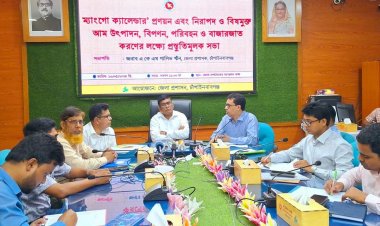 আমের রাজধানী চাঁপাইনবাবগঞ্জে  থাকছে না ক্যালেন্ডার পাকলেই পাড়া যাবে আম