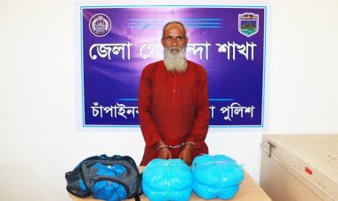 চাঁপাইনবাবগঞ্জে ডিবি পুলিশের অভিযানে গাঁজাসহ একজন গ্রেফতার