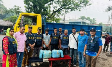 নাটোরে অভিযান চালিয়ে ২০ কেজি গাঁজাসহ এক মাদক কারবারী গ্রেফতার