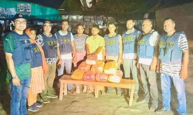 সিরাজগঞ্জে অভিযান চালিয়ে ৪০ কেজি গাঁজাসহ এক মাদক কারবারী গ্রেফতার 