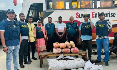 নাটোরে সুপারির বস্তায় ২৫ কেজি গাঁজাসহ এক মাদক কারবারী গ্রেফতার