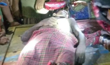 কানসাট ভোলাহাট সড়কে ডাকাতিকালে গণপিটুনিতে এক ডাকাত নিহত