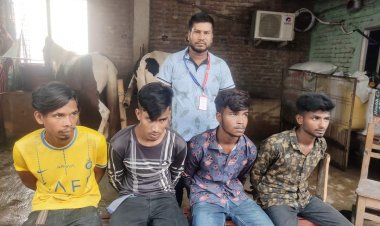 চাঁপাইনবাবগঞ্জে ডাকাতির প্রস্তুতিকালে দেশীয় অস্ত্রসহ ৪ ডাকাত আটক