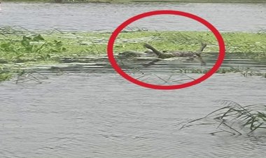 শিবগঞ্জে নিখোঁজের তিনদিন পর কিশোরের মরদেহ উদ্ধার