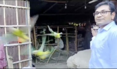 শিবগঞ্জে  টিয়াপাখি উদ্ধার করে অবমুক্ত ও শিকারীকে অর্থদণ্ড