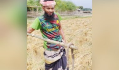 শিবগঞ্জে আবারও একই জায়গায় ৩টি রাসেল’স ভাইপার