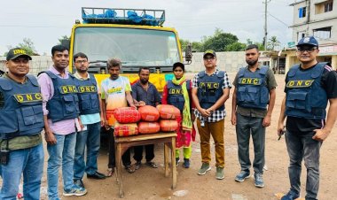 সিরাজগঞ্জে গাঁজাসহ দুই মাদক কারবারী গ্রেফতার 