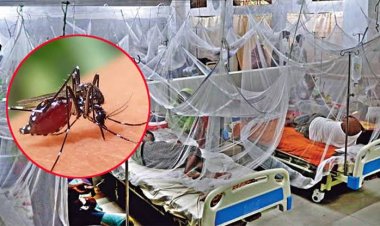 চাঁপাইনবাবগঞ্জ ও শিবগঞ্জে ডেঙ্গুতে দুইজন শনাক্ত, হাসপাতালে ভর্তি-৬