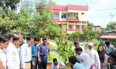 চাঁপাইনবাবগঞ্জে প্রকৃতি ও জীবন ক্লাবের বৃক্ষরোপন ও চারা বিতরণ কর্মসূচী পালিত