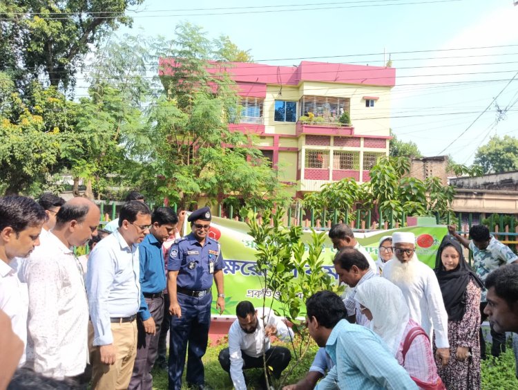 চাঁপাইনবাবগঞ্জে প্রকৃতি ও জীবন ক্লাবের বৃক্ষরোপন ও চারা বিতরণ কর্মসূচী পালিত