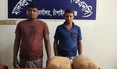 শিবগঞ্জে অভিযানে চালিয়ে ১৬ কেজি গাঁজাসহ আটক-২