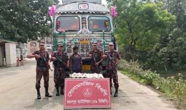 সোনামসজিদ স্থলবন্দরে ইলিশ মাছসহ ভারতীয় নাগরিক আটক