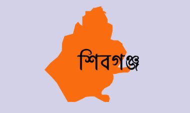 শিবগঞ্জে বিদ্যুৎস্পৃষ্টে কিশোরের মৃত্যু