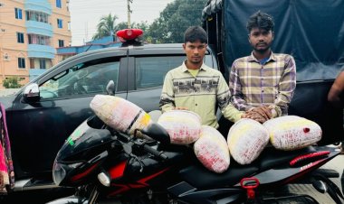 বগুড়ায় গাঁজাসহ দুই মাদক কারবারী গ্রেফতার