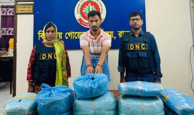 ওষুধ সরবরাহের গাড়িতে মাদক পাচারকালে গাঁজাসহ মাদক কারবারী গ্রেফতার