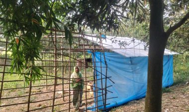 নিয়ামতপুরে কবরস্থান দখল করে বাড়ি নির্মাণের অভিযোগ