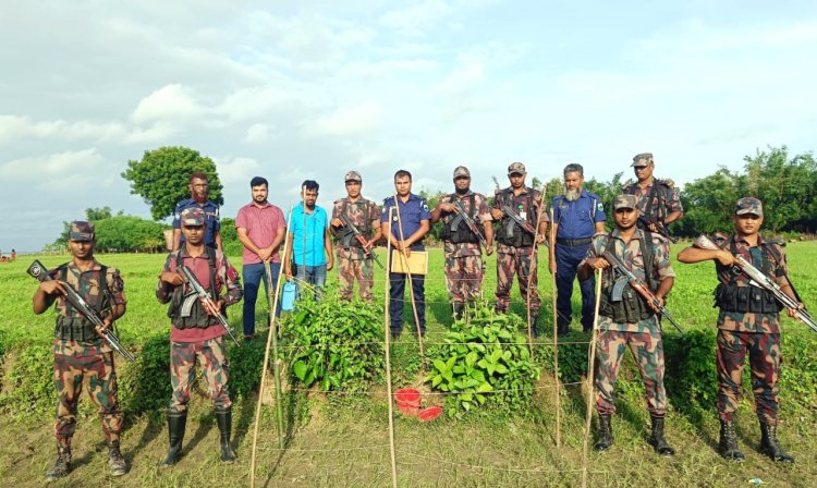 বিজিবির অভিযানে ককটেল উদ্ধার