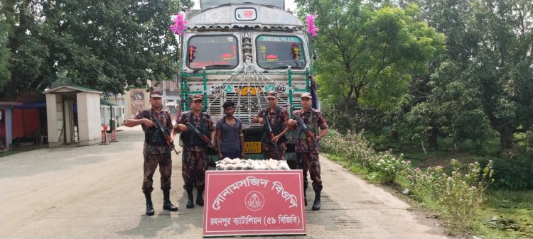 সোনামসজিদ স্থলবন্দরে ইলিশ মাছসহ ভারতীয় নাগরিক আটক