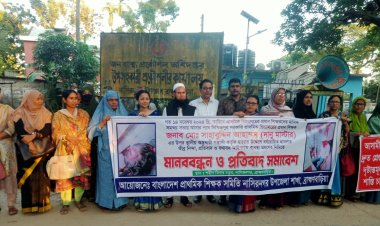 নাসিরনগরে শিক্ষকের উপর হামলার প্রতিবাদে মানববন্ধন