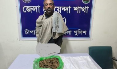 শিবগঞ্জে অভিযান চালিয়ে গাঁজাসহ একজন গ্রেফতার