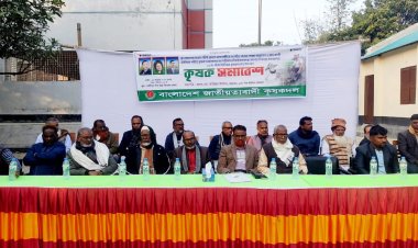 শিবগঞ্জের পাঁকা ইউনিয়ন কৃষক দলের উদ্যোগে কৃষক সমাবেশ