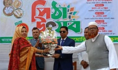 মীর নোয়াবুল হক মেমোরিয়াল হাই স্কুলে পিঠা উৎসব