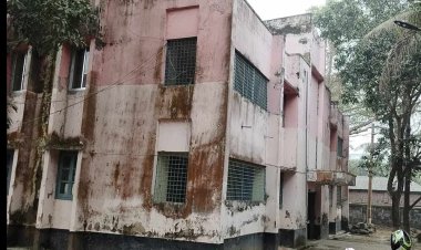 নওগাঁর নিয়ামতপুরে সহকারী কমিশনারকে লক্ষ্য করে গুলি চালিয়েছে দুর্বৃত্তরা