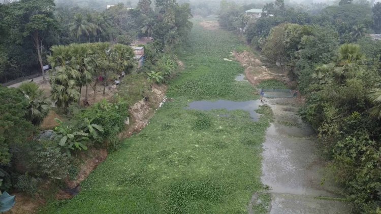 নওগাঁর তুলসীগঙ্গা নদী দখল আর দূষণে মৃত প্রায়